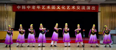 中韓中老年藝術(shù)團文化藝術(shù)交流演出活動紀實